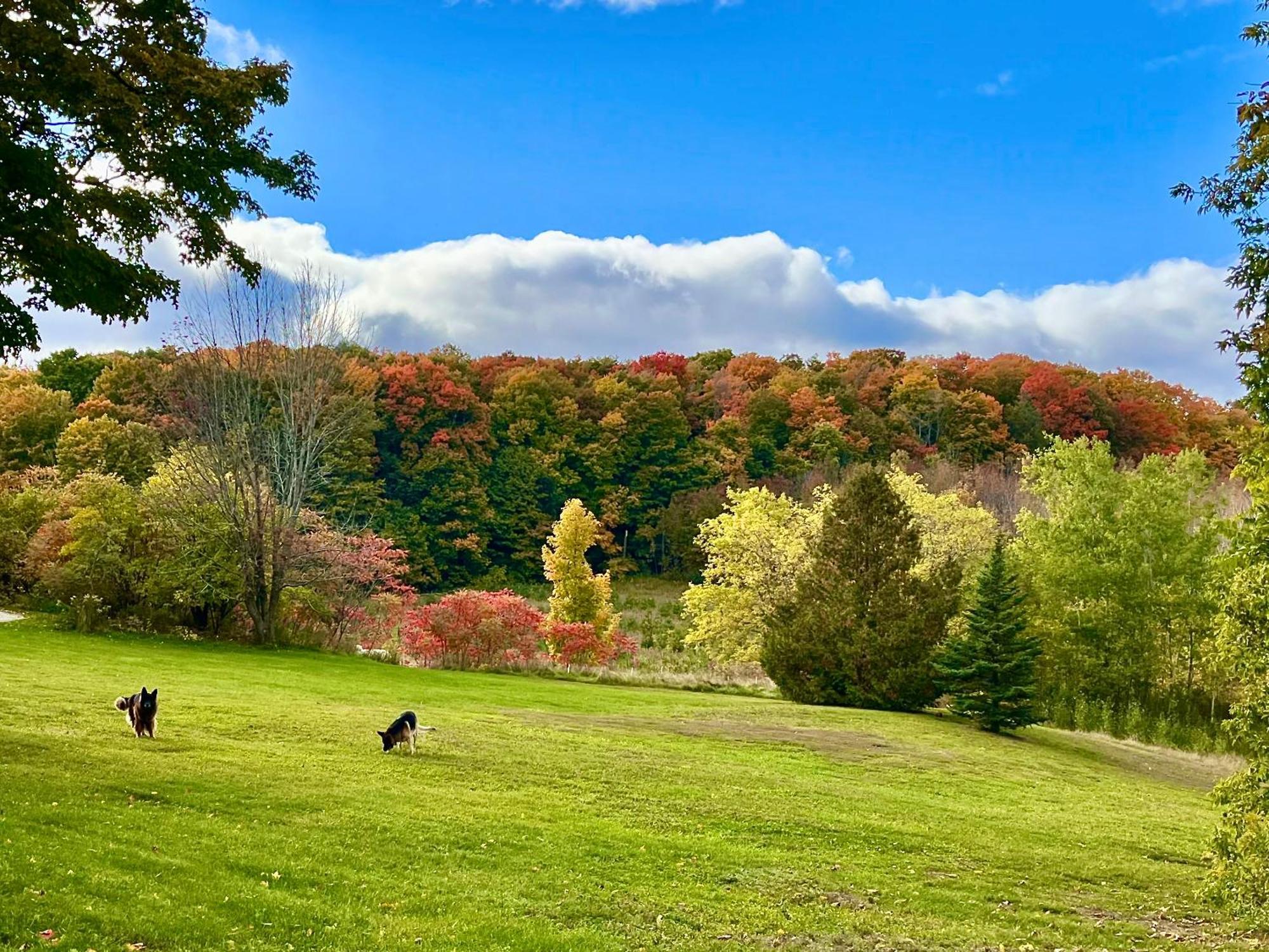 Caledon Manor And Country Inn Dış mekan fotoğraf