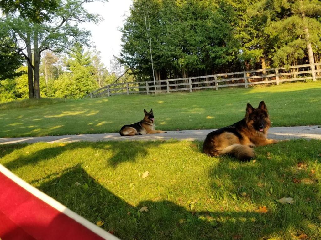 Caledon Manor And Country Inn Dış mekan fotoğraf