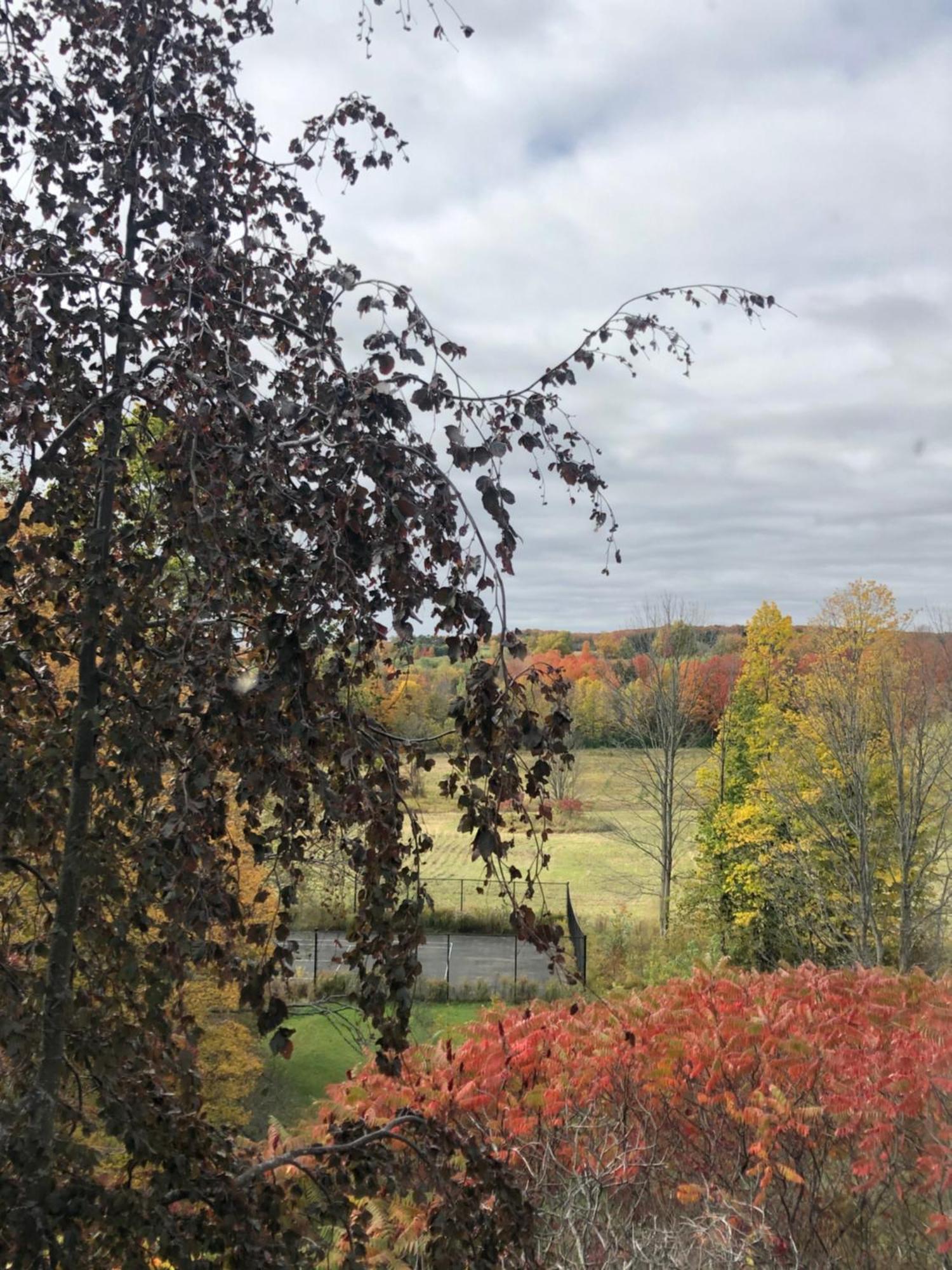 Caledon Manor And Country Inn Dış mekan fotoğraf